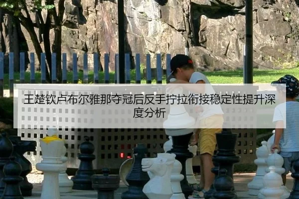 wang-chu-qin-lu-bu-er-ya-na-duo-guan-hou-fan-shou-ning-la-xian-jie-wen-ding-xing-ti-sheng-shen-du-fen-xi-2-893.jpg